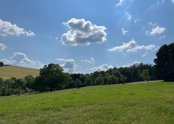 Hartmann Im Odenwald By Interhome * Laudenau